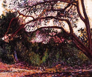 Henri Edmond Cross - Woded Landscape